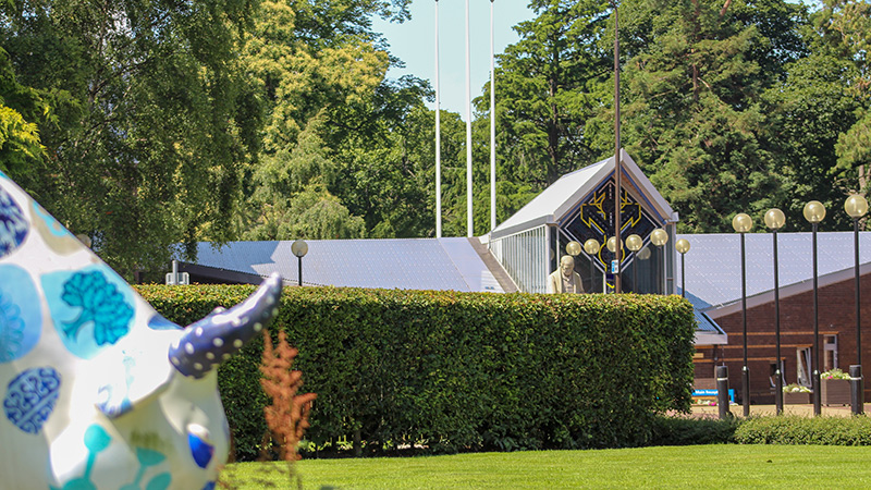 Cow statue and hedge outside Heriot-Watt entrance