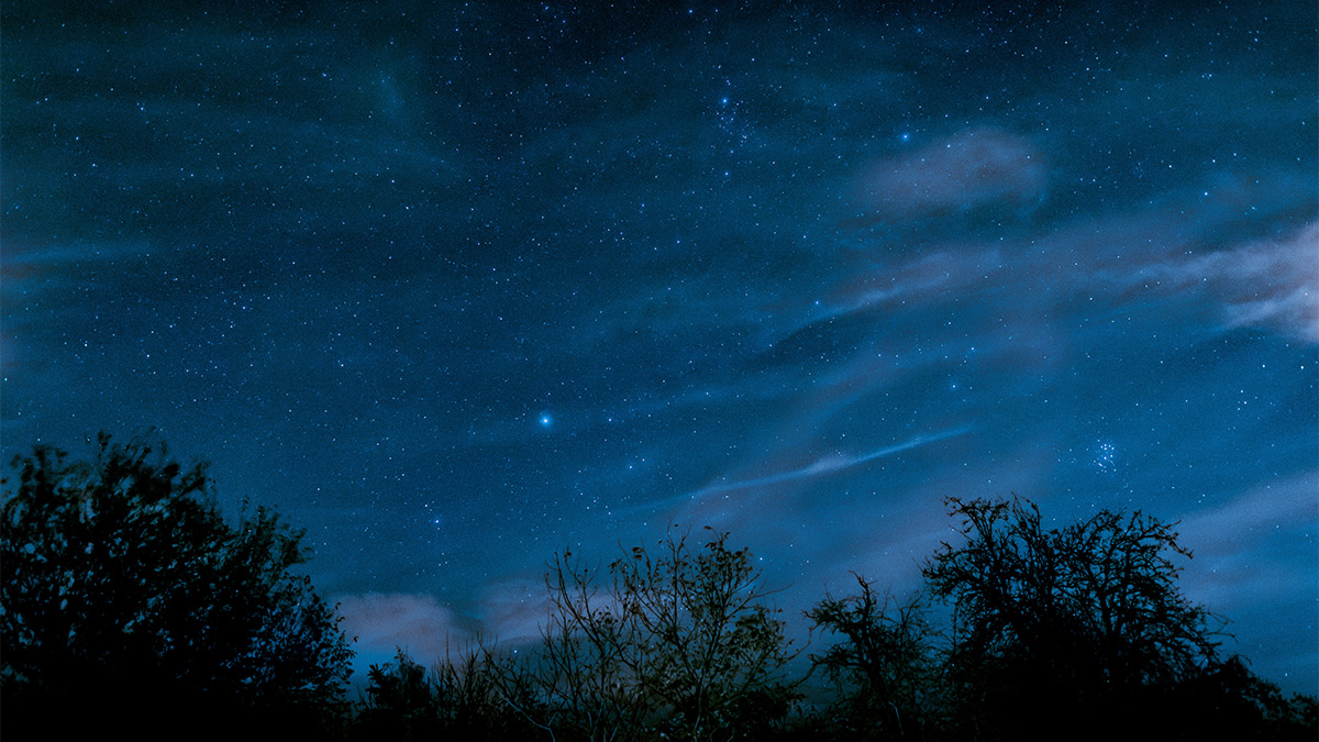 The night sky