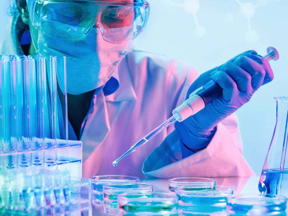 Woman scientist squeezes a drop of solution onto a petrie dish for testing