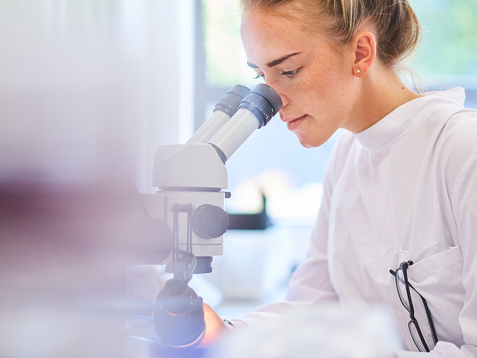 Food scientist using microscope