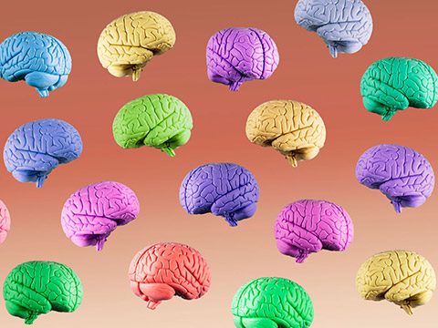 graphic of multicoloured brains