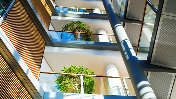 Balconies with plants in sunlight