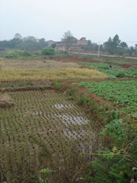 Agricultural soil