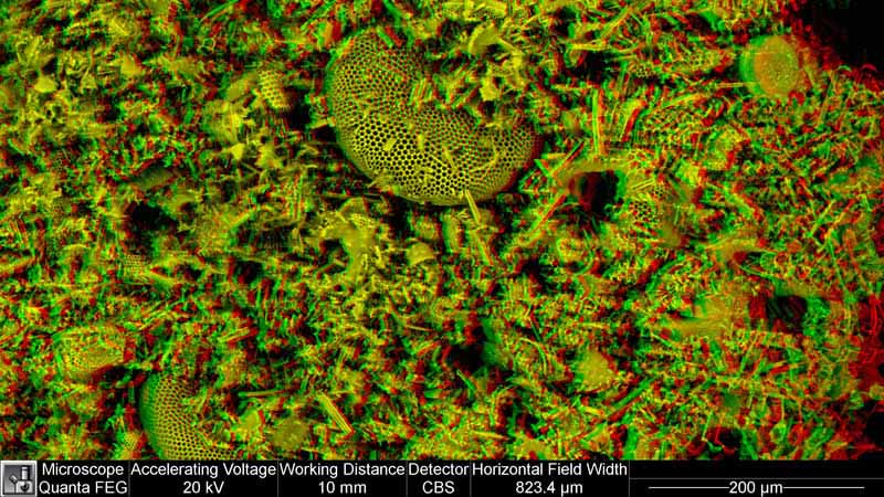 Diatomaceous Earth, comprising many diatoms. Highly porous