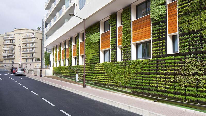 wall of building covered with rows of green plants