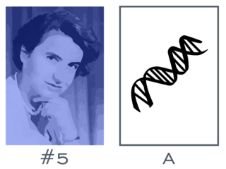 Rosalind Franklin and DNA